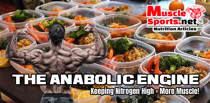 The Anabolic Engine